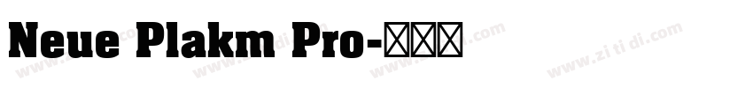 Neue Plakm Pro字体转换